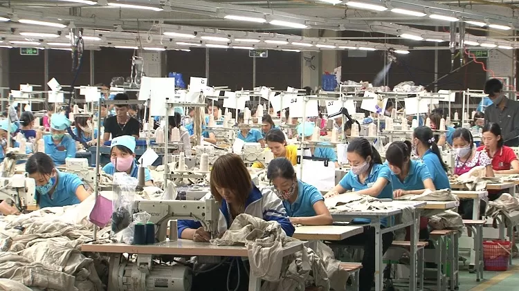 DICKSON GARMENT LTD